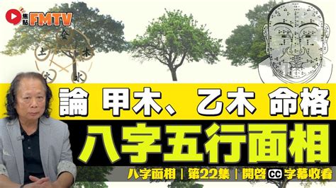 八字乙木|【八字 乙木】乙木命理大揭秘！剖析「八字乙木」的獨特性格、。